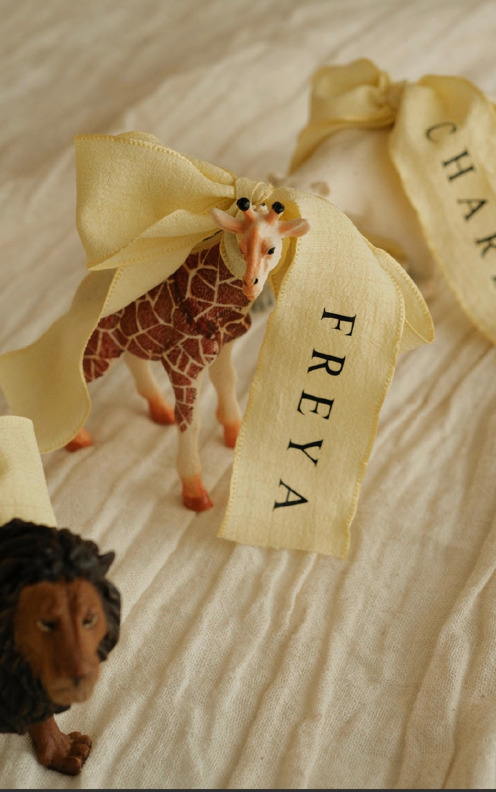 The Freddie Ribbon